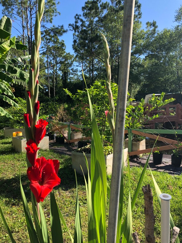 5399199C-E84C-45E6-8C29-7153D8E37718